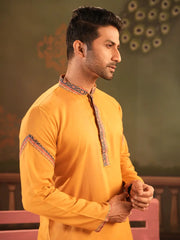 Regular Linen Viscose Panjabi