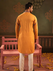 Regular Linen Viscose Panjabi